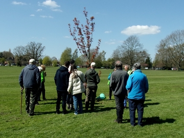 people looking at a tree in Elmdon park